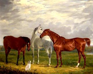 第二任德泰利勋爵的三匹马和他的狗“维克”
