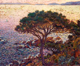 Cap Bénat, Pine on the Coast