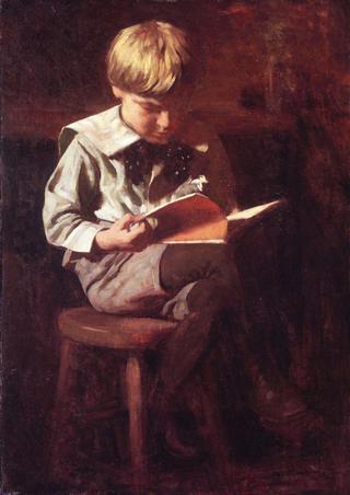男孩阅读：内德·安舒茨