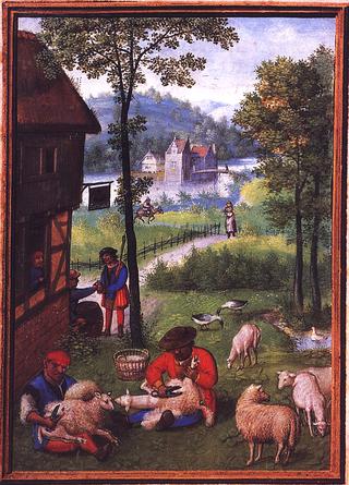 Labors of the Months: June, from a Flemish Book of Hours