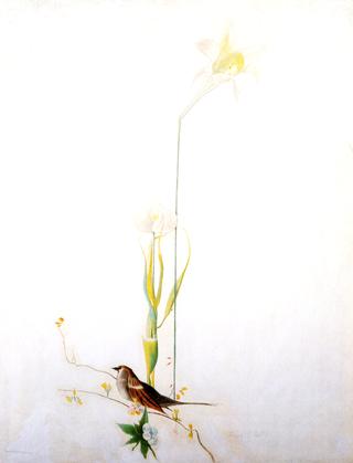 Sparrow and Lilies