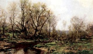 Spring Landscape