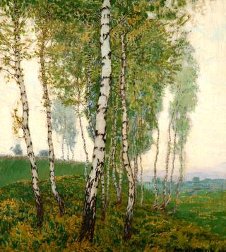 Birches