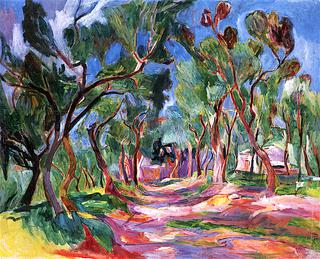 Path through Olive Trees