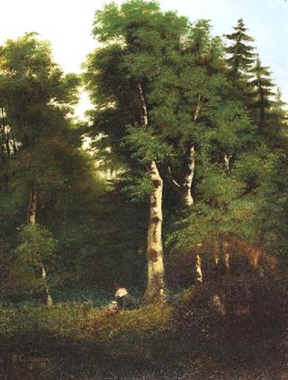 Wooded landscape with stream