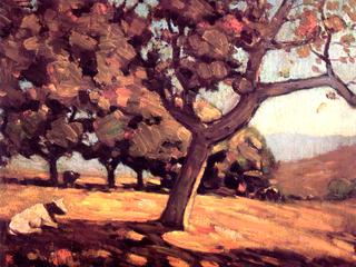 Santiago Canyon (Oaks, Cattle)