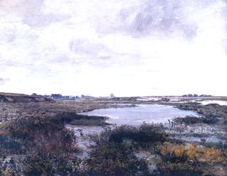 A Marshy Land - Near the lake Rozmberk