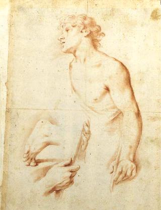 Study of a Young Man