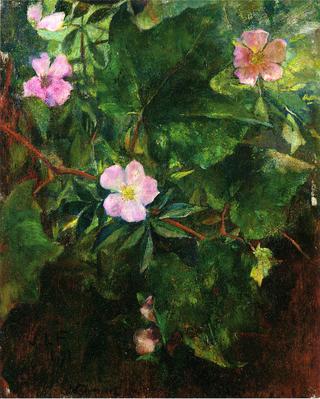 Wild Roses and Grape Vine, Study from Nature