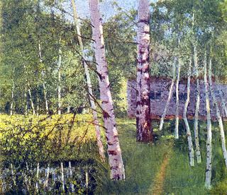 Birches in Summer