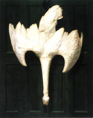 The Trumpeter Swan