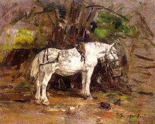 Study of a White Horse