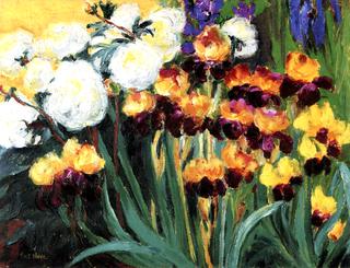 Peonies and Irises