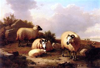 Mountain Sheep in a Landscape