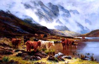 Highland Cattle