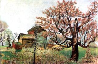 Spring Landscape