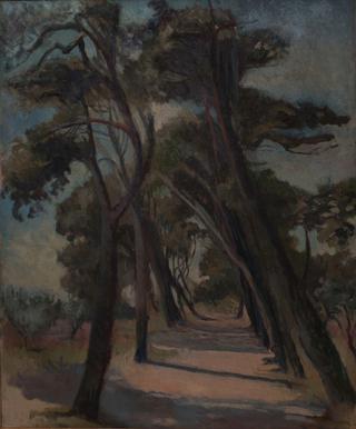 Avenue at St Remy