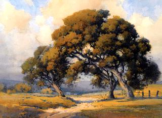 Oaks near Ranch, Carmel Valley