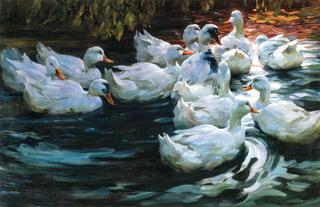 Homeward - Ducks on a Pond