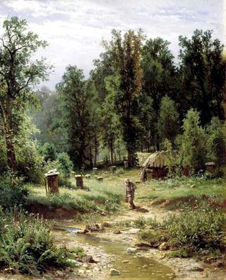 Apiary in a forest