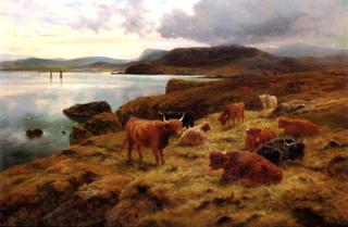 On the Cliffs at Shetland