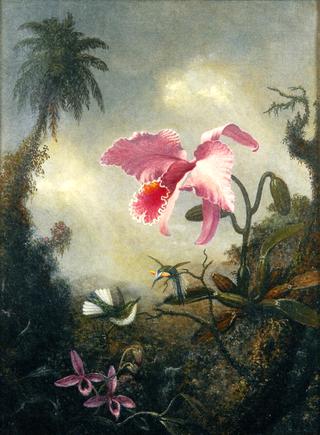 Two Hummingbirds, Two Types of Orchids and a Palm Tree