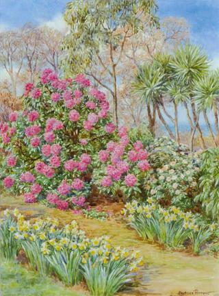 A Cornish garden