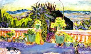 Green Pots on the Terrace