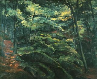 Forest Interior