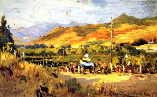 Near San Juan Capistrano