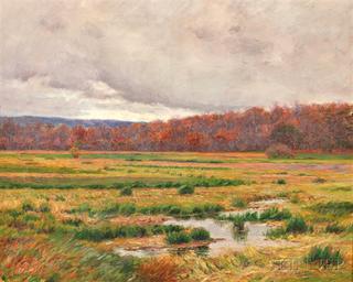 Autumn Marshes