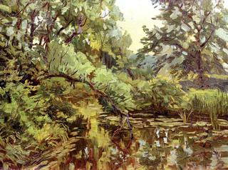 Summer Study of a Brook