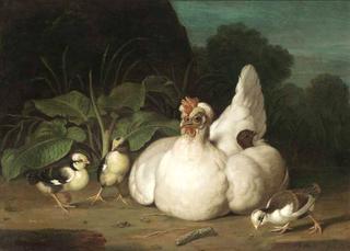 Hen and Chickens
