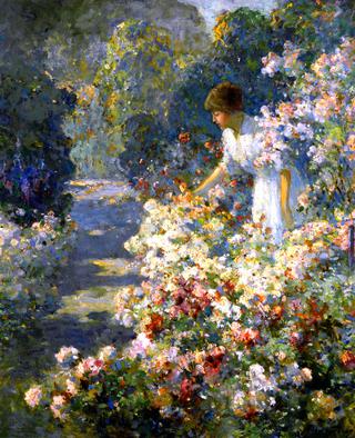 Morning in the Garden