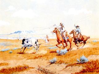 Herding Longhorn