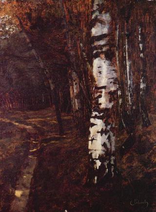 Birch forest in Ferch