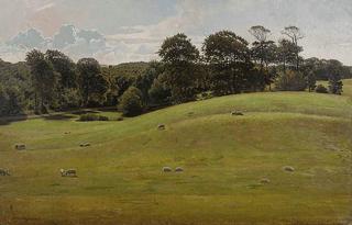 Landscape with Sheep