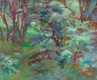 Forest Interior
