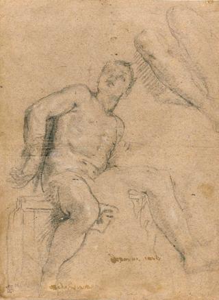 Seated Young Man