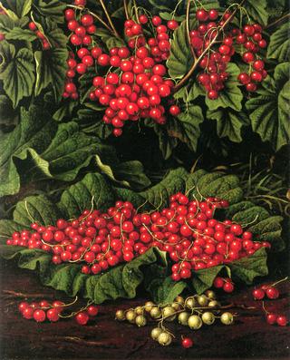 Red Currants