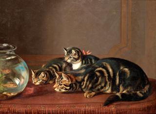 Cats by a fishbowl