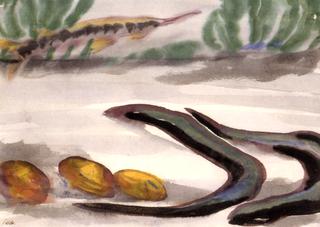 Eels and Mussels