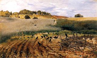 The Rooks Parliament