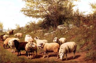 Sheep in a Pasture