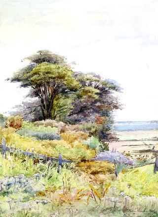 By the Bay, Duxbury, Massachusetts