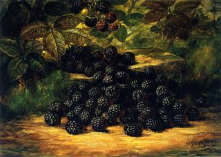 Blackberries