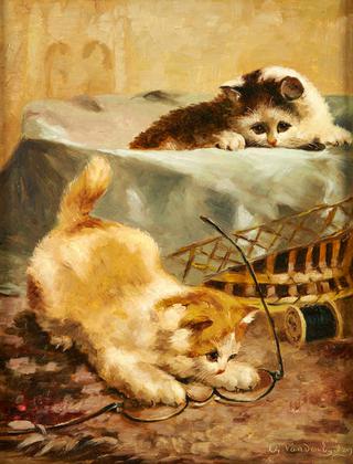 chatons aux lunettes