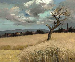 Wheat in Ile-de-France