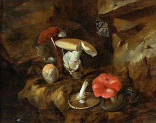 A Forest Floor Still Life with Mushrooms, a Snake and a Butterfly