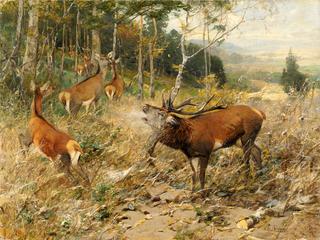Early Autumn